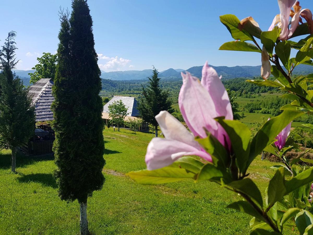 Ninga Rai Villa Poienile Izei Exterior photo