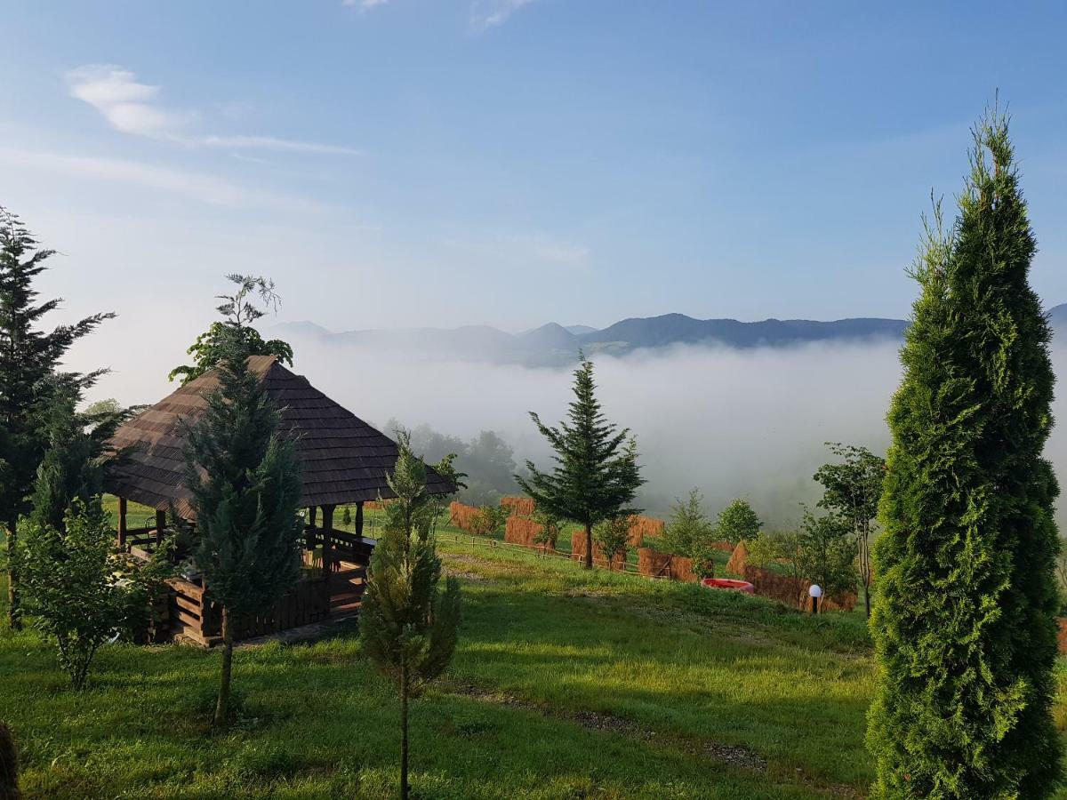 Ninga Rai Villa Poienile Izei Exterior photo
